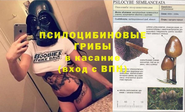 амф Верея