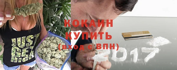 амф Верея