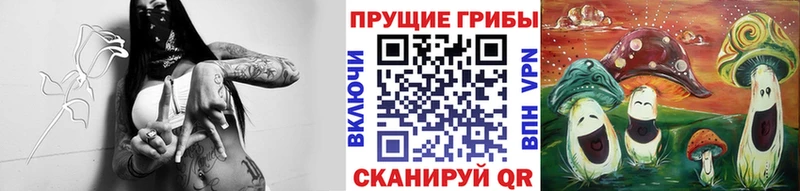 как найти закладки  Старый Оскол  Псилоцибиновые грибы мицелий 